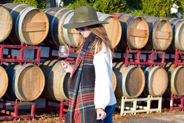 Private Northern Virginia Wine Tour from Washington DC — Custom 6-Hour Tasting Experience photo 4