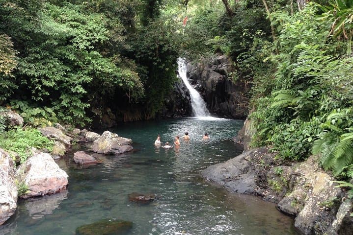 5-Day West Bali Adventure: Snorkel Menjangan, Rice Terraces & Waterfalls photo 1
