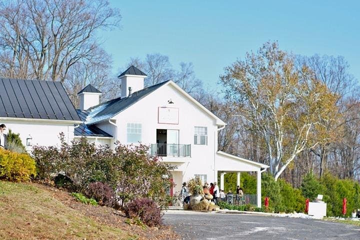 Private Northern Virginia Wine Tour from Washington DC — Custom 6-Hour Tasting Experience photo 6