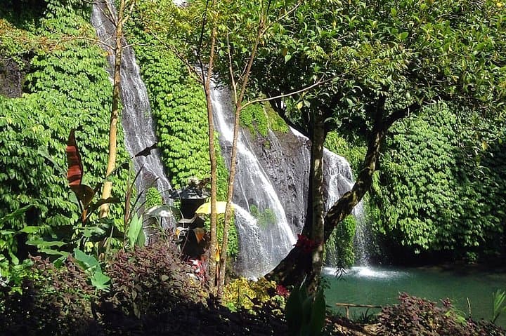 5-Day West Bali Adventure: Snorkel Menjangan, Rice Terraces & Waterfalls photo 2
