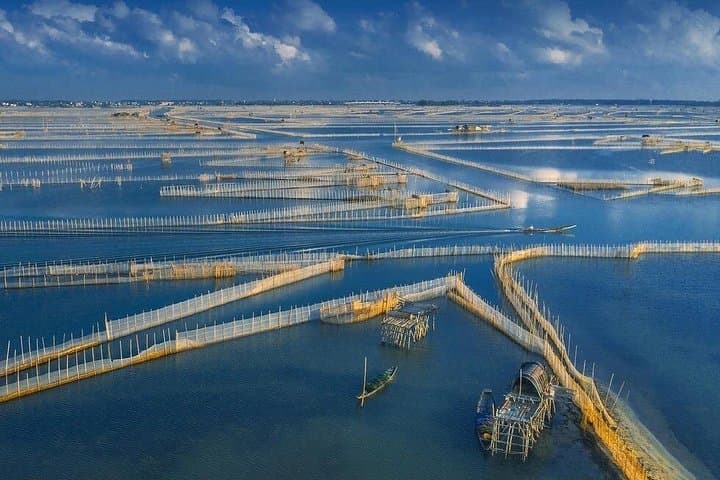 Scooter to Thanh Toan Bridge & Chuon Lagoon: Sunset Boat Trip and Seafood Dinner from Hue photo 3