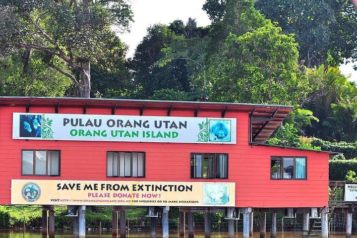 Orang Utan Island & Ipoh Day Tour from Kuala Lumpur: Bukit Merah Wildlife and Cave Temple