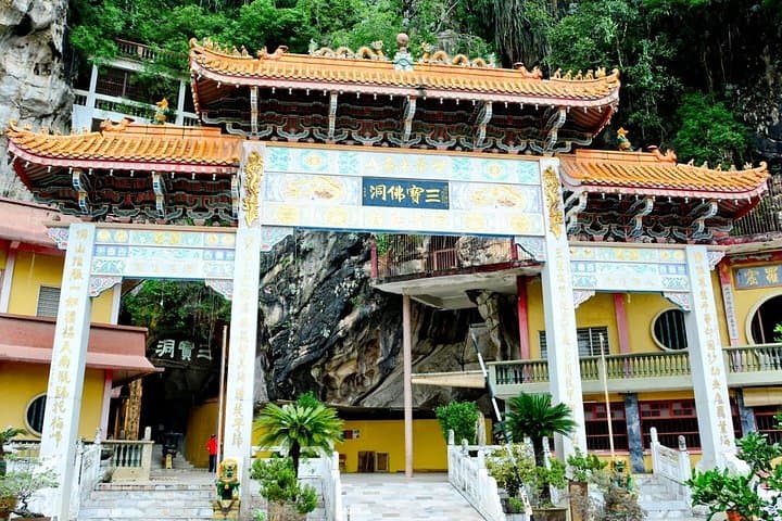 Orang Utan Island & Ipoh Day Tour from Kuala Lumpur: Bukit Merah Wildlife and Cave Temple photo 2