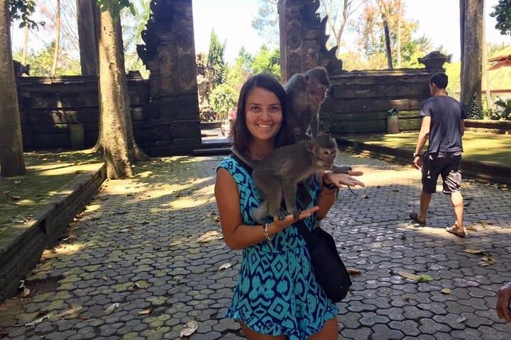 Tanah Lot Sunset & Sangeh Monkey Forest Day Tour — Temple, Monkeys and Coastal Sunset photo 4