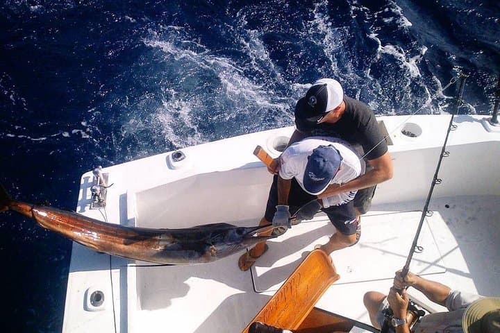 Puerto Vallarta Private Fishing Boat — 4‑Hour Guided Charter photo 4
