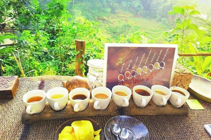 3-Day Bali Highlights: Waterfalls, Rice Terraces & Sunset Dinner Cruise photo 4