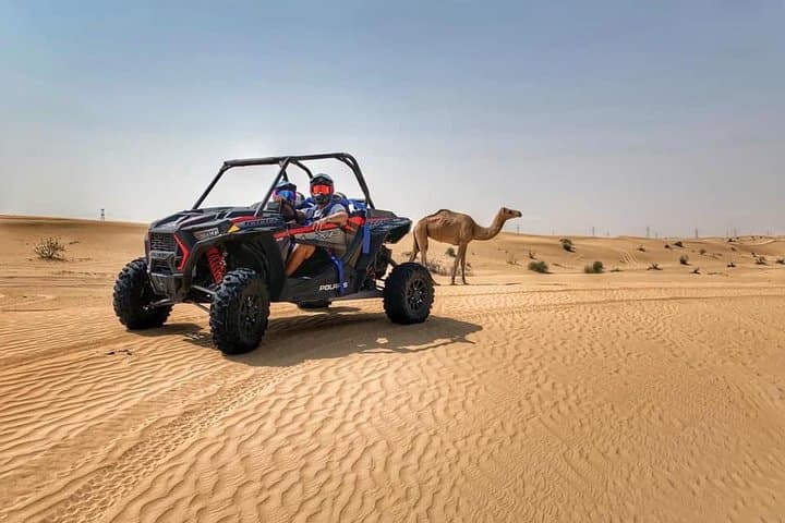 Polaris RZR 1000cc Desert Adventure in Dubai's Lahbab Dunes photo 3
