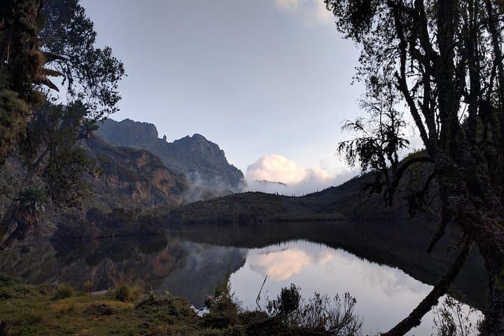 5-Day Rwenzori Trek: Rainforest, Lakes & High-Alpine Huts