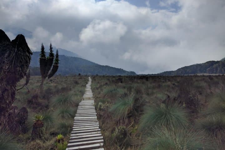 5-Day Rwenzori Trek: Rainforest, Lakes & High-Alpine Huts photo 2