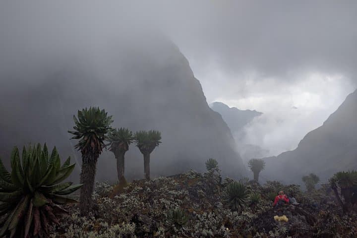 5-Day Rwenzori Trek: Rainforest, Lakes & High-Alpine Huts photo 3