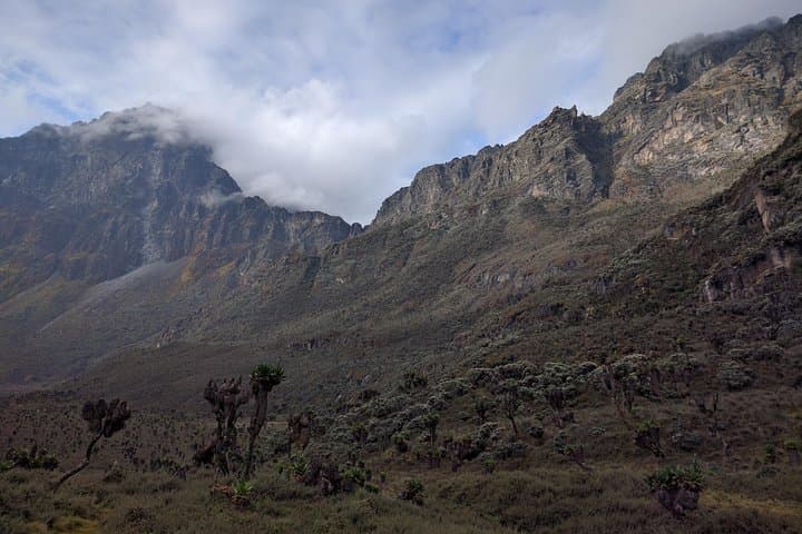5-Day Rwenzori Trek: Rainforest, Lakes & High-Alpine Huts photo 4