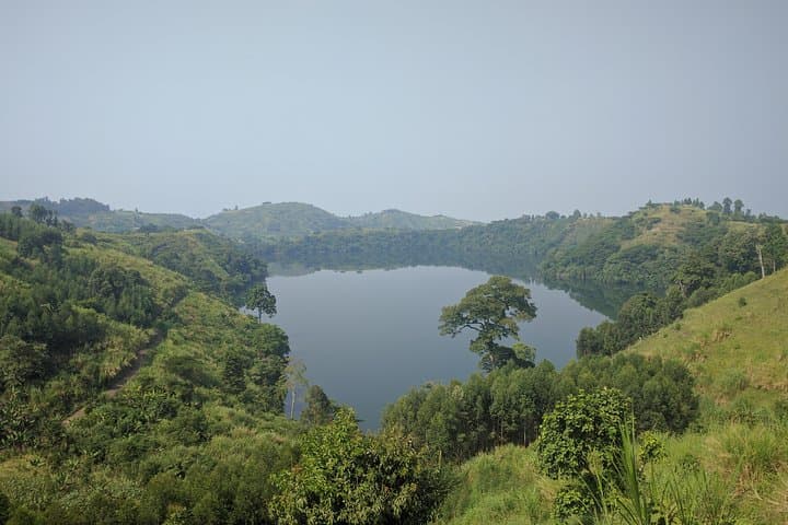 5-Day Rwenzori Trek: Rainforest, Lakes & High-Alpine Huts photo 6