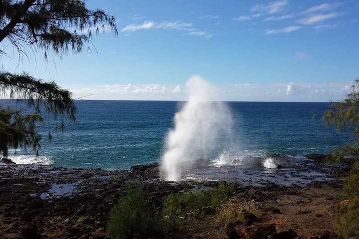 Exploring Kauai’s Waimea Canyon and Southside: Your Private Island Tour Guide photo 2