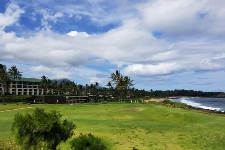 Exploring Kauai’s Waimea Canyon and Southside: Your Private Island Tour Guide photo 4