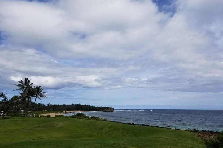 Exploring Kauai’s Waimea Canyon and Southside: Your Private Island Tour Guide photo 6