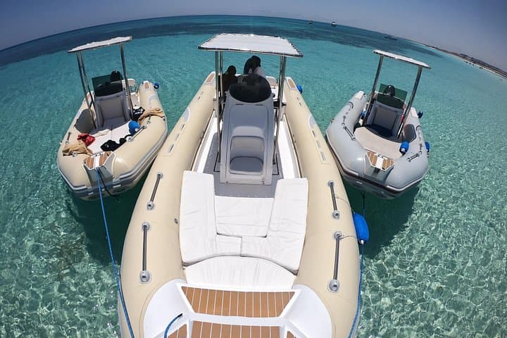 Private Speedboat Tour From Hurghada: Dolphin Watching & Snorkeling on the Red Sea photo 4