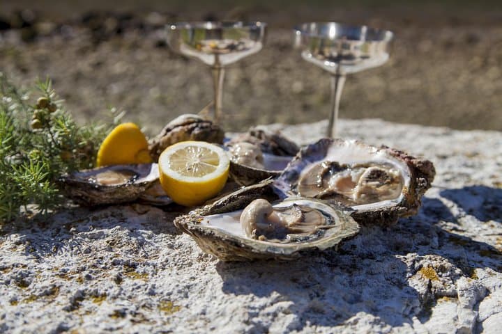 Pelješac Peninsula Wine Tour from Dubrovnik: Ston Oysters & Dingač Vineyards photo 5