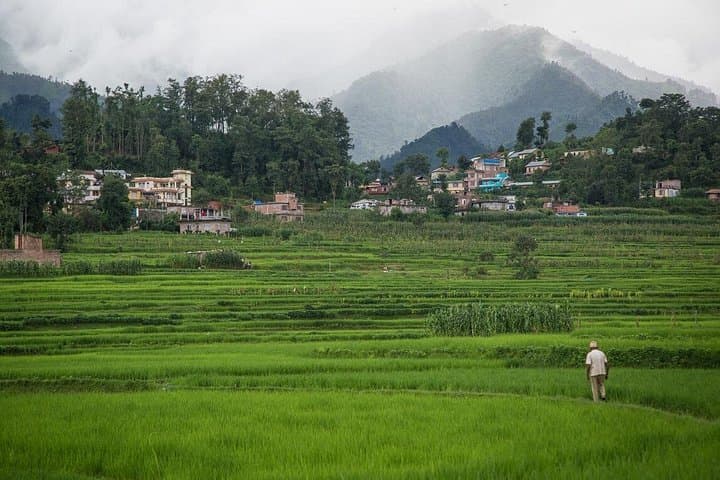 Sanga to Panauti Community Hike: Himalayan Ridgewalk & Newar Village photo 4