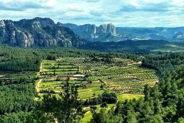 Cretas to Horta de Sant Joan Greenway — 11km Downhill Ride Through the Ports of Beceite