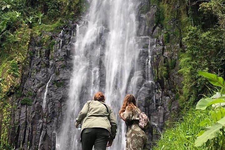 Kilimanjaro Waterfalls Hike and Moshi Hot Springs Day Trip