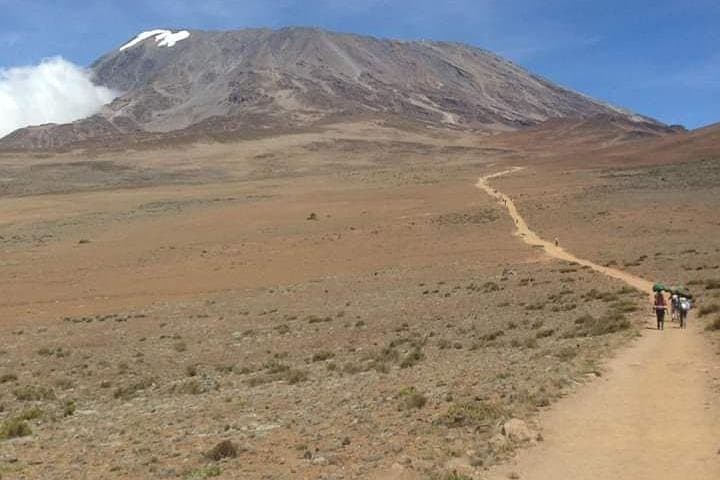 5-Day Marangu Route Kilimanjaro Summit Trek from Moshi photo 3