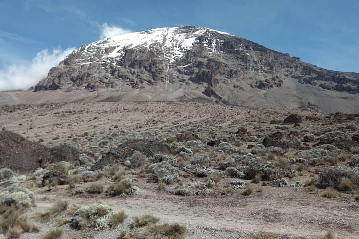 5-Day Marangu Route Kilimanjaro Summit Trek from Moshi photo 4
