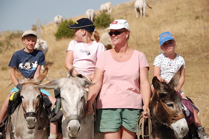 Donkey Day Hike in the Sibillini Mountains — Family-Friendly Trek photo 3
