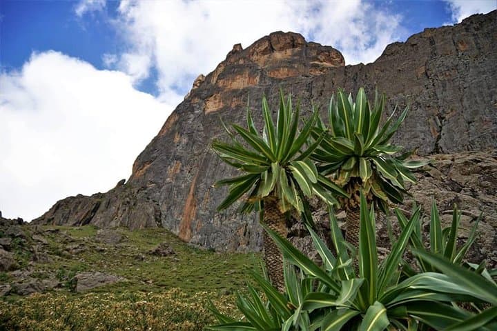 Lalibela Eco Trek: 4-Day Community-Based Hike to Abune Yousef and Gelada Country photo 2