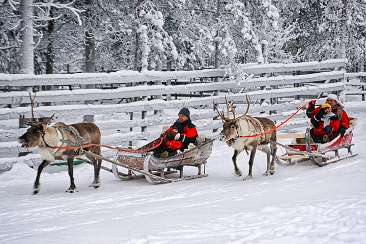 Rovaniemi Reindeer Farm Visit & Sleigh Safari — Meet Lapland’s Herds photo 2