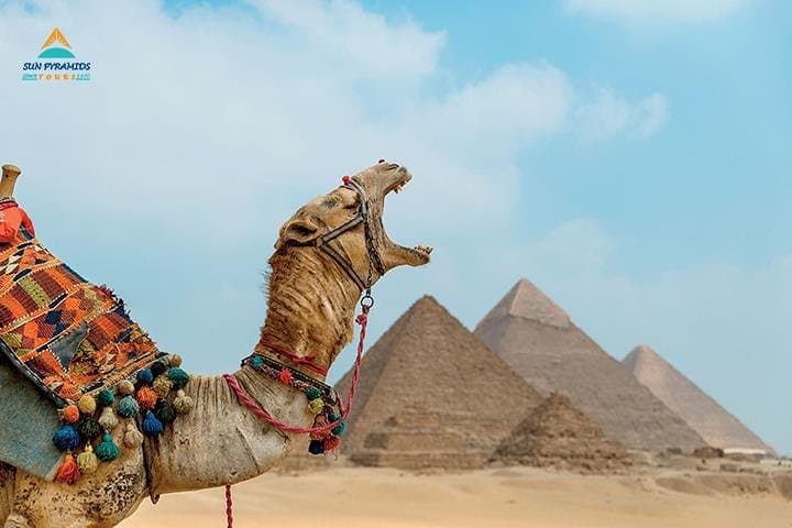 Giza Pyramids by Camel — Camel Ride & Sphinx Tour from Cairo photo 5