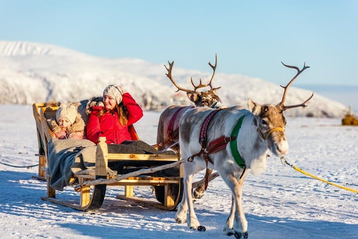 Rovaniemi Reindeer Farm Visit & Sleigh Safari — Meet Lapland’s Herds photo 4