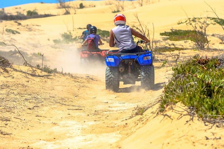 Palmeraie Quad Adventure: 2-Hour ATV Ride from Marrakech