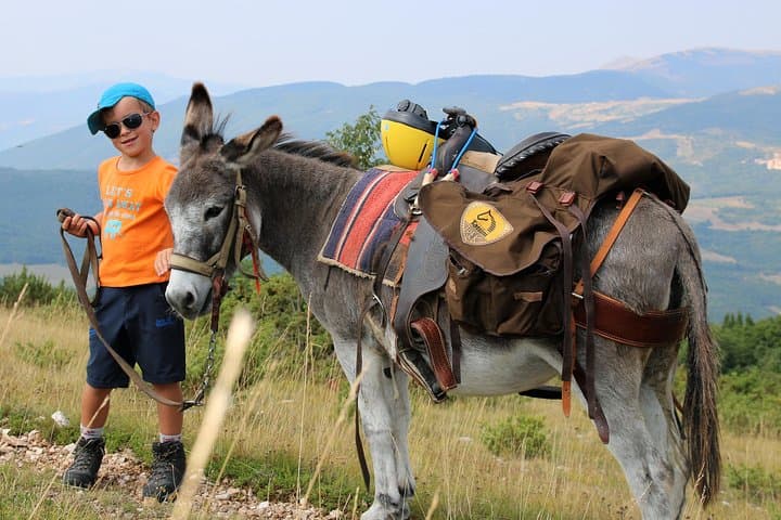 Donkey Day Hike in the Sibillini Mountains — Family-Friendly Trek photo 5