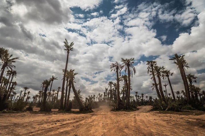 Palmeraie Quad Adventure: 2-Hour ATV Ride from Marrakech photo 4