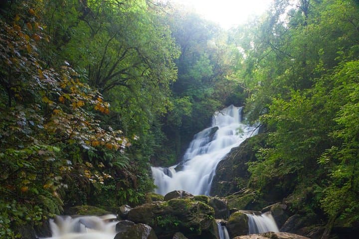 Killarney Highlights Half-Day Tour — Muckross House, Ross Castle & Torc Waterfall photo 3
