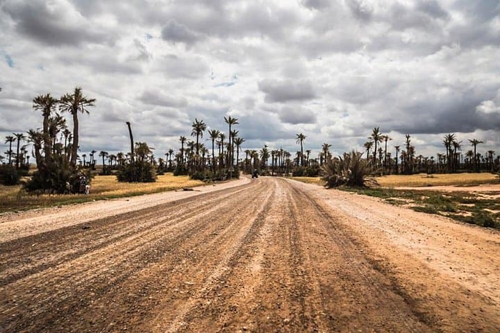 Palmeraie Buggy Ride: 2-Hour Off-Road Adventure in Marrakech's Palm Oasis photo 2