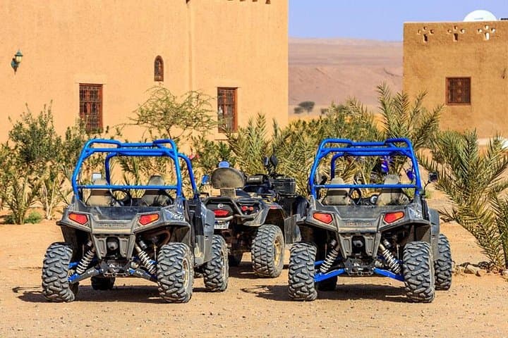 Palmeraie Buggy Ride: 2-Hour Off-Road Adventure in Marrakech's Palm Oasis photo 4