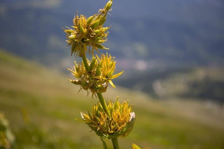 Hike to Lake Pilato: Glacial Valley Trek in the Sibillini Mountains photo 5