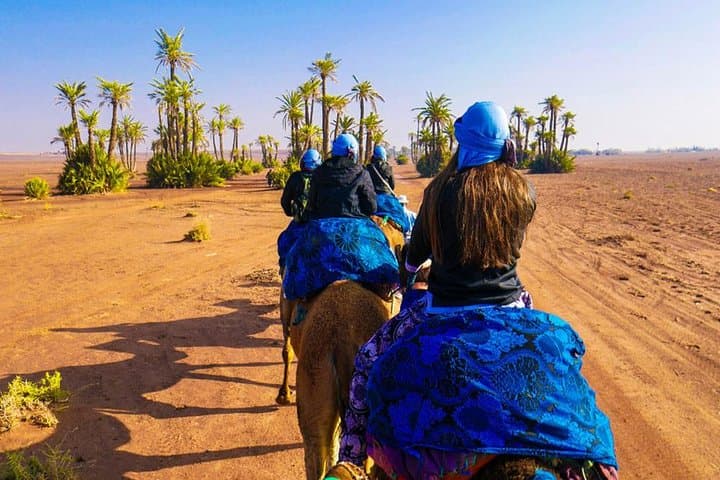 Agafay Desert Camel Ride: 1-Hour Camel Trek from Marrakech photo 5