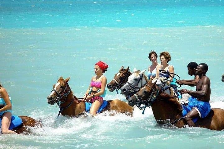Ocho Rios Action Pack: Blue Hole, White River Tubing & Beach Horseback Ride photo 1