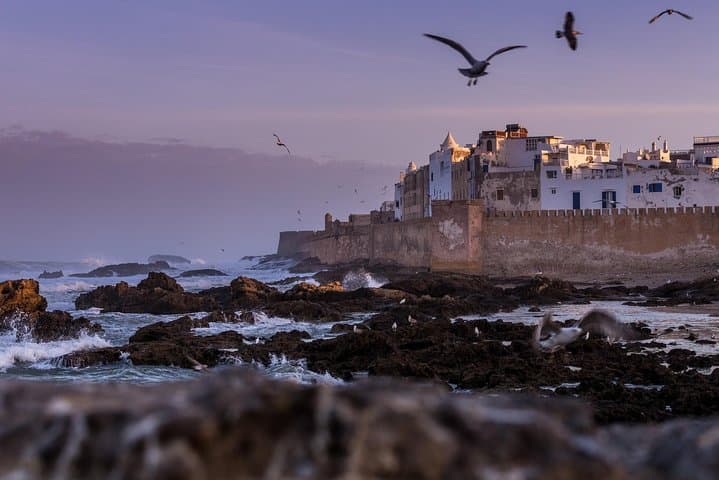 Essaouira Day Trip from Marrakech: Coastal Medina, Beaches & Seafood photo 2