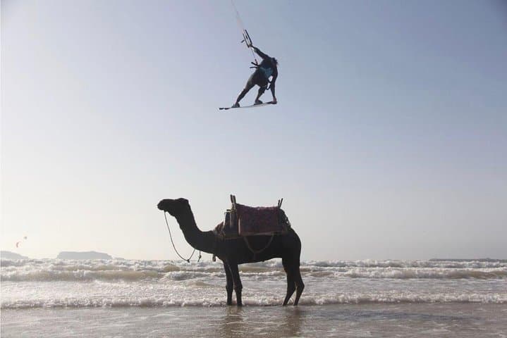 Essaouira Day Trip from Marrakech: Coastal Medina, Beaches & Seafood photo 6