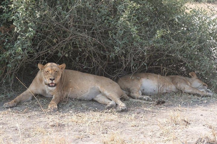 15-Day Mobile Camping Safari Through Botswana's Okavango & Makgadikgadi