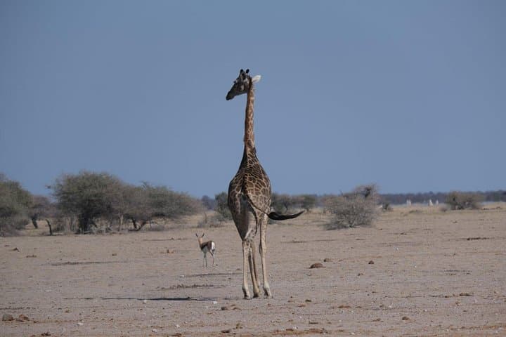 15-Day Mobile Camping Safari Through Botswana's Okavango & Makgadikgadi photo 2