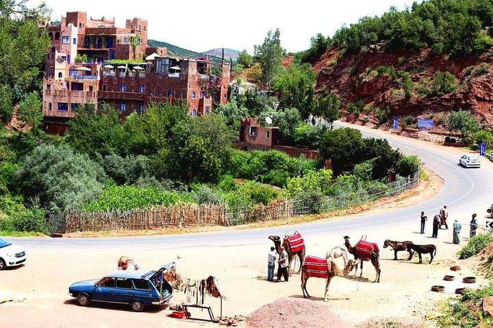 Ourika Valley Day Trip from Marrakech — Setti Fatma Waterfalls & Berber Village photo 5