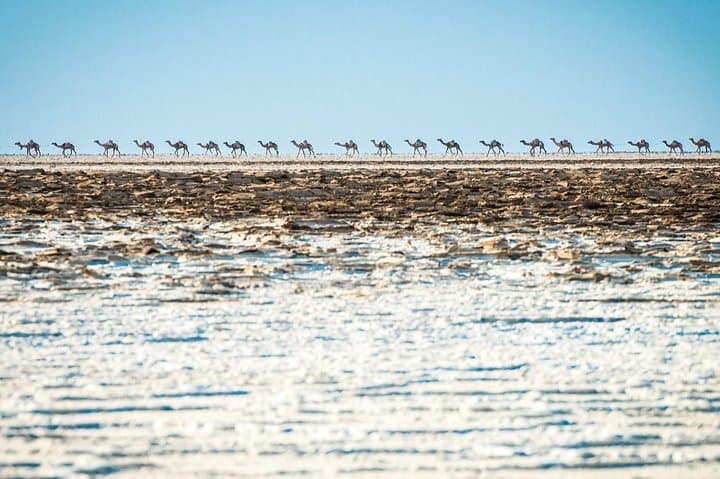 Dallol & Danakil 2-Day Expedition: Colorful Hydrothermal Fields and Salt Caravans