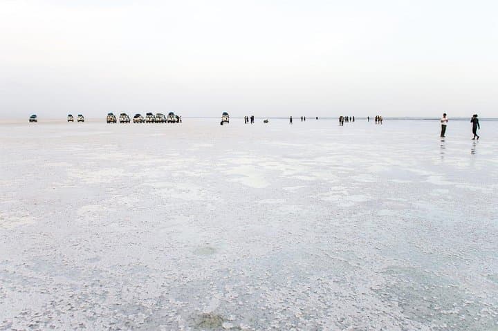 Dallol & Danakil 2-Day Expedition: Colorful Hydrothermal Fields and Salt Caravans photo 3