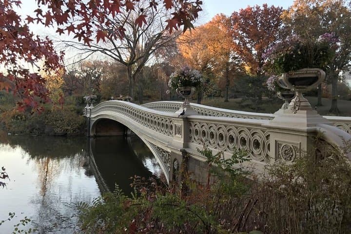 Central Park Self-Guided Scavenger Hunt | App-Led Urban Adventure in NYC