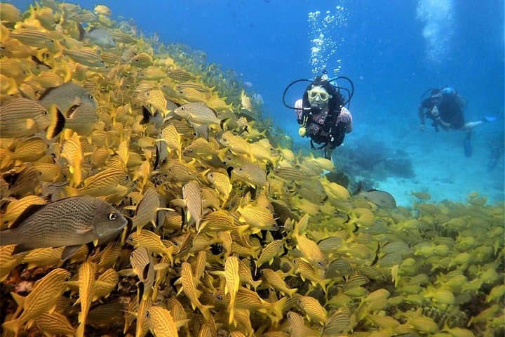 PADI Rescue Diver Course in Playa del Carmen: Train for Real-World Dive Emergencies photo 5