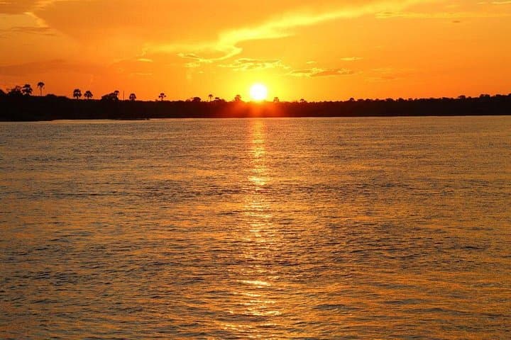 Sunset Zambezi Cruise from Livingstone: Hippos, Golden Light & Riverbank Wildlife